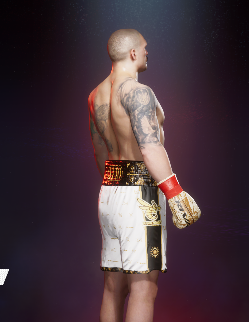 Usyk vs Rico Kit side view
